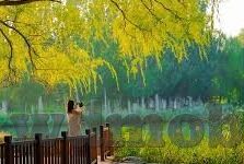 360足球即使比分-360足球即时比分，科技赋能下的足球观赛新体验