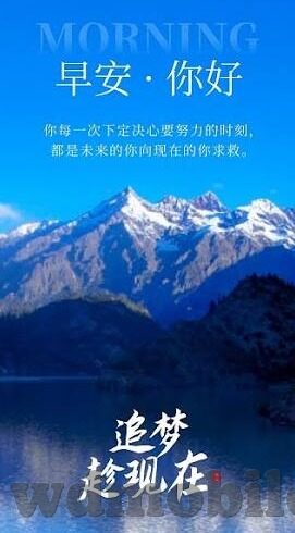 体彩足球即时比分-体彩足球即时比分，连接赛场与生活的激情纽带
