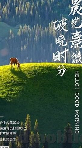 中国vs约旦足球比分-绿茵烽火，中国VS约旦足球比分背后的较量与启示